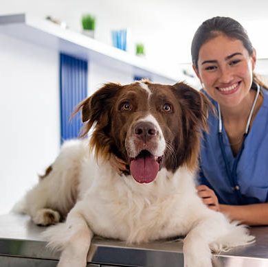 istockphoto-2218833170-612x612