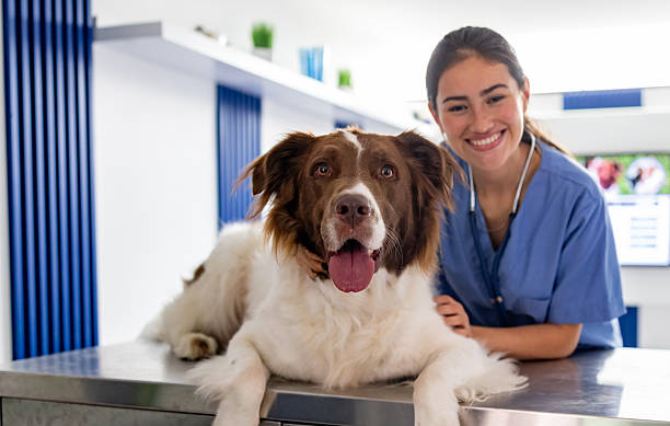 istockphoto-2218833170-612x612
