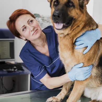 medium-shot-smiley-doctor-hugging-cute-dog
