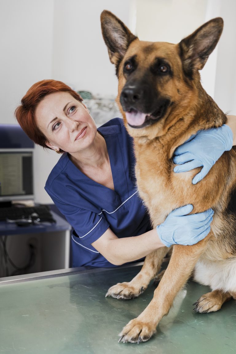 Vétérinaire canin (H/F) proche de Nîmes (30)