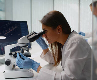 istockphoto-2200856626-612x612