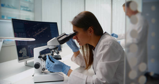 istockphoto-2200856626-612x612