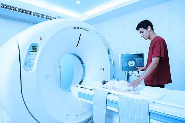 veterinarian assistant working in MRI scanner room take with blue filter
