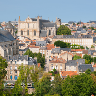 2 Vétérinaires canins ou mixtes proche de Poitiers (86)