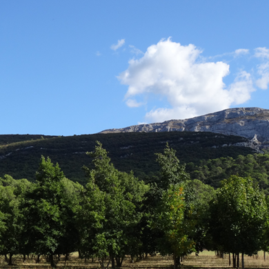 SAINTE BAUME