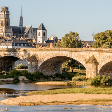 orleans tours